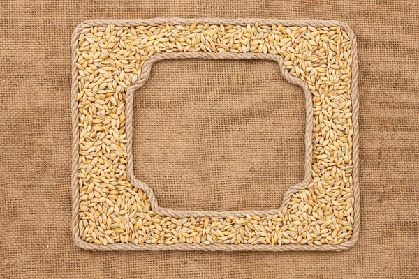 Dva snímky z lana s zrna ječmene v žíně — Stock fotografie