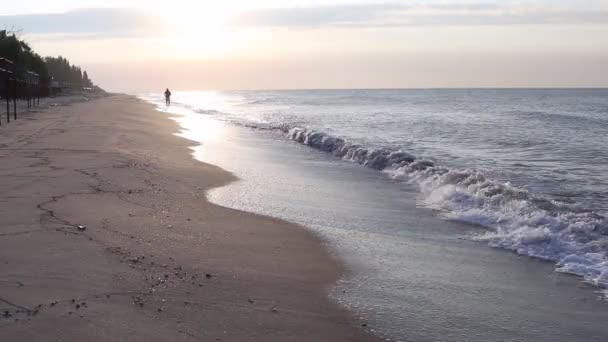 Homem correndo na praia ao nascer do sol, pôr do sol . — Vídeo de Stock