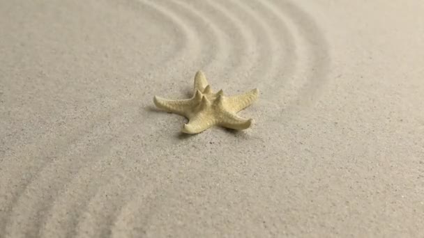 Estrella de mar amarilla acostada en la playa de arena ondulada . — Vídeos de Stock