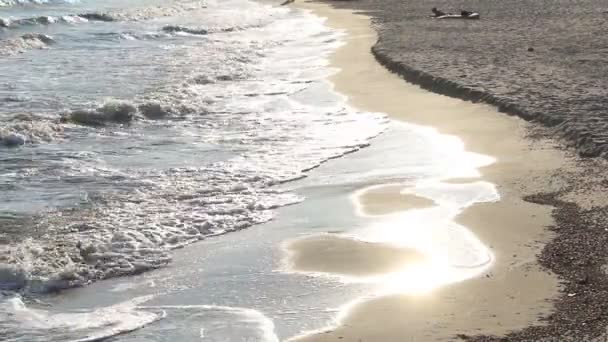 Reflectie van de avondzon in de golven van de zee van Azov. — Stockvideo