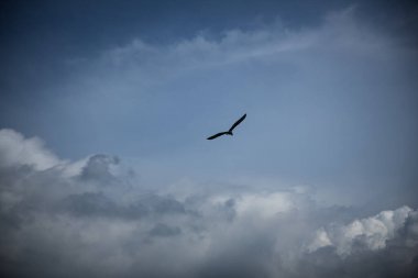 Koyu mavi gökyüzü stratocumulus bulutlarıyla