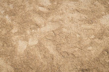 İnce ve kaba tanecikli kuru kumlu bir yüzey. Zayıf ayakkabı izleri gösteriyor. Bu da son zamanlarda doğal bir bölgede insan aktivitesi olduğunu gösteriyor..