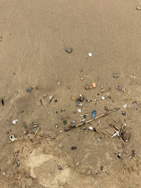 Dağılmış kayalar, kabuklar, dallar ve plastik parçalarla dolu kuru bir sahil yüzeyi çevresel bozulmayı ve insan varlığını gösteriyor..