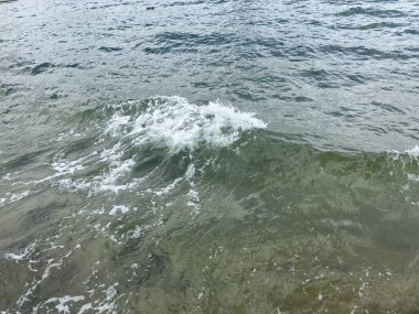 Kıyıya yakın küçük bir dalga yükseliyor, berrak suyun altındaki kumlu zemini ortaya çıkarıyor, arka planda hafif dalgalanmalar var..