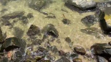 Güneşli bir günde sakin bir sahilde, yumuşak dalgaların altında saklı hazineler keşfetmek.