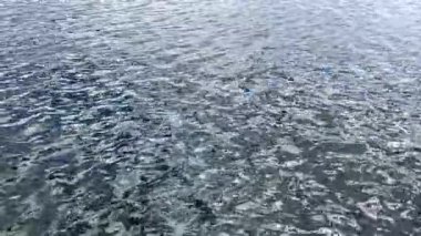 Sakin bir öğleden sonra sakin sularda dalgalanan dinginlik