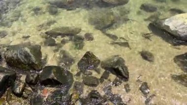 Sahil kenarında güneşli bir öğleden sonra, pürüzsüz taşların arasında sakin suları keşfediyorum.