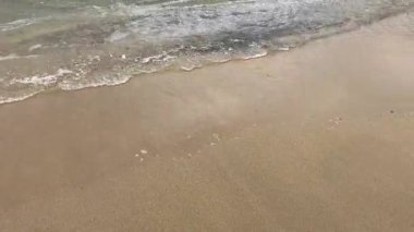 Yumuşak dalgalar kumlu kıyıya vurur, günbatımında huzurlu bir sahil melodisi yaratır.