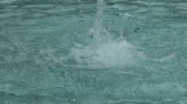 Su, parlak öğleden sonra güneşinin altında berrak mavi havuzda dans eder. Doğası gereği sihir ve güzellik gösterir.