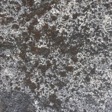 Kaya veya beton yüzeye yakın çekim, koyu yamalar ve aydınlık alanlar, doğal benekli desenler gösteriyor..