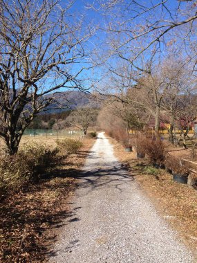 Mavi gökyüzünün altında uzanan ağaçlarla kaplı çakıl yolu uzak dağlar ve gölgelerle kaplı..