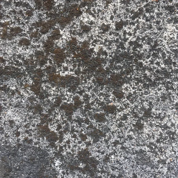 Kaya veya beton yüzeye yakın çekim, koyu yamalar ve aydınlık alanlar, doğal benekli desenler gösteriyor..