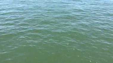 Yumuşak dalgalar yazın sıcak bir öğleden sonra güneşli gölde dans eder.