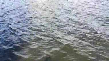 Sakin bir öğleden sonranın sakin göl kenarındaki suların yüzeyinde güneş ışığı ışıltıları dans ediyor.