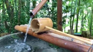 Bereketli yeşilliklerle çevrili sakin bir bahçedeki bir bambu çeşmesinden akan sudaki neşe.