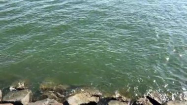 Gün ortasında sakin denizin altında, parlak güneş ışığı altında, kayalık kıyılara doğru hafif dalgalar süzülür.