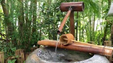 Su, bambu çeşmesinin yemyeşil bir bahçe ortamında usulca akması gibi uyum içinde dans eder. Etrafında dingin ve huzurlu bir atmosfer yaratır.