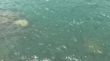 Balık sürüleri yüzeyin altında zarafetle süzülürken görkemli güneş ışığı dalgaların üzerinde dans eder.