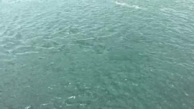 Sakin sular, sakin sabah saatlerinde sakin bir kıyı manzarasına sarılan gökyüzünü yansıtır.