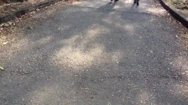 Güneşli bir öğleden sonra arkadaşlarımla huzurlu bir parkta huzurlu bir yürüyüşün tadını çıkarıyorum.