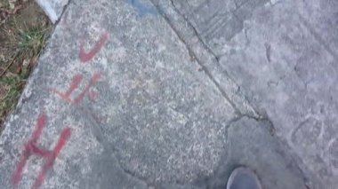 Şafakta sakin bir patikayı keşfetmek yumuşak ayak sesleriyle dokulu zeminde ve dans eden gölgelerle