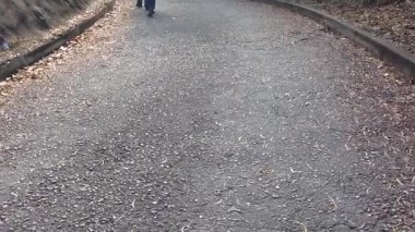 Sonbaharda çocuklar renkli yapraklar ve doğal güzelliklerle çevrili huzurlu bir orman yolunda neşeyle yürüyorlar.