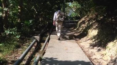 Meraklı bir yürüyüşçüyle, bereketli bir ormanda dolambaçlı yolu keşfediyor.