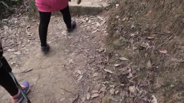 Huzurlu bir yolda yürümenin tadını çıkarırken taze havayı ve ayak altında çatırdayan yaprakları hissetmek.