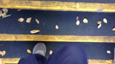 Renkli sonbahar yapraklarının arasında merdivenlerden iniyor. Güneş işlek caddenin üzerinde yavaşça batıyor.