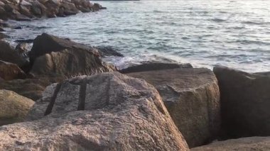 Gün batımında huzurlu sahil kayalıklarını keşfederek sakin bir sahil kenarında sakin bir deniz kenarında