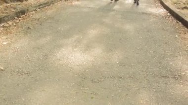 Parkta güneşli bir yolda yolculuk eden iki arkadaş bir arkadaşlık anı yakalar ve doğanın güzelliğini yakalar.