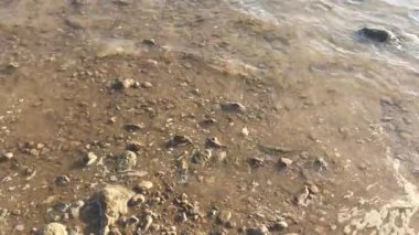 Alacakaranlıkta kıyı şeridinin dingin güzelliğini keşfederken yumuşak dalgalar kumda çarpıcı desenler oluşturur.