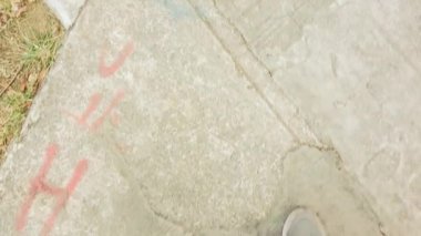 Güneşli yollarda sakin nehir boyunca sıcak bir öğleden sonra yürüyüşü