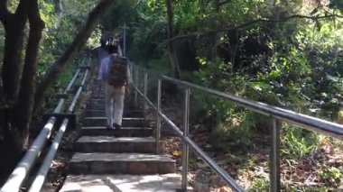 Gün doğumunda sakin orman merdivenlerinde yürümek, doğayı hoş karşılamak sabah ışığı ve temiz hava