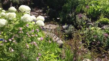 Canlı bir çiçek ve yeşillik bahçesinde dolaş öğleden sonra ışığı altında.