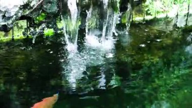 Saklı bir orman taşında kayaların üzerine dökülen yumuşak suyla huzurlu bir vahayı keşfet.