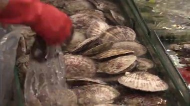 Sabahın erken saatlerinde kalabalık bir sahil pazarında kabuklu deniz hayvanı toplama sanatını keşfedin.