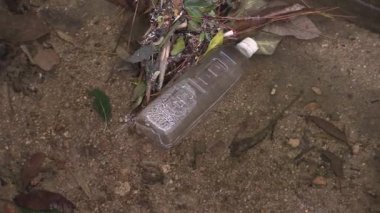 Nehir kenarındaki gizli sırları keşfediyor. Düşen yapraklar ve zengin topraklar arasında bir su şişesiyle.