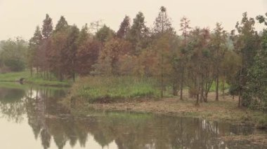Sakin bir nehrin kenarındaki sonbahar ağaçlarının sakin yansımaları alacakaranlığın altın saatlerinde yakalanır.