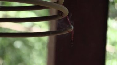 Huzurlu bir ormanda, narin bir pınarın sarmalları arasında büyüleyici bir dans.