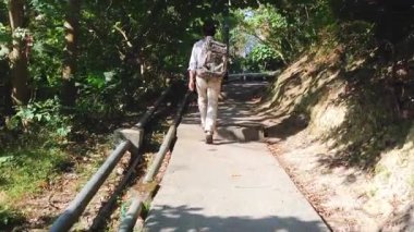 Doğanın, ormanın göbeğinde sessiz bir gezgini kucakladığı yemyeşil bir patikada seyahat edin.