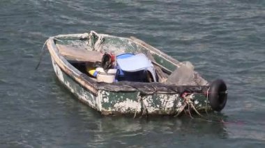 Gün doğumunda küçük bir tekneyle sakin bir nehirde balık avı, takım çalışması ve doğal güzellikler.