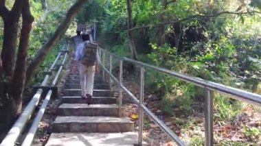 Huzurlu orman merdivenlerinden geçerek sabah ışığında büyüleyici bir bakış açısına doğru yol alın.