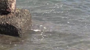 Dalgalar yavaşça iskelede suyla dans ederken sakin bir kıyı şeridinde