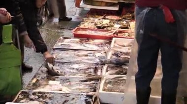 Alacakaranlıkta şehrin göbeğinde hayat dolu canlı bir balık pazarı keşfetmek.