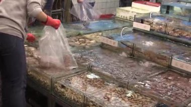 Şehrin göbeğindeki hareketli deniz ürünleri pazarını keşfederken aynı zamanda taze yiyecekler topluyor.