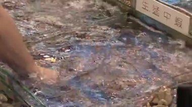 Sıcak öğleden sonra güneşinin altında hareketli bir kasabada canlı bir nehir pazarında renkli balıklar yakalıyorum.