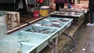 Şehrin göbeğindeki hareketli bir deniz ürünleri pazarını sabah koşuşturması sırasında keşfetmek.