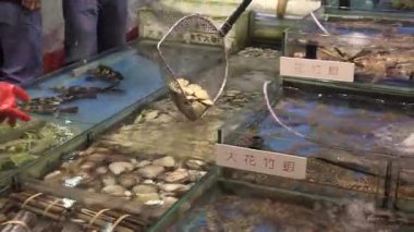 Taze deniz ürünleri pazarı hayat dolu ve şehrin göbeğindeki renkli görüntülerle dolu.