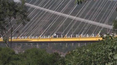 Güneşin yeşil ve kentsel enerjiyle dolu huzurlu bir arazide parladığı güzel bir köprü boyunca yürüyorum.